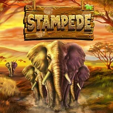 Stampede