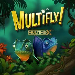 MultiFly!™