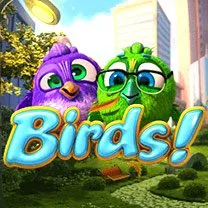 Birds